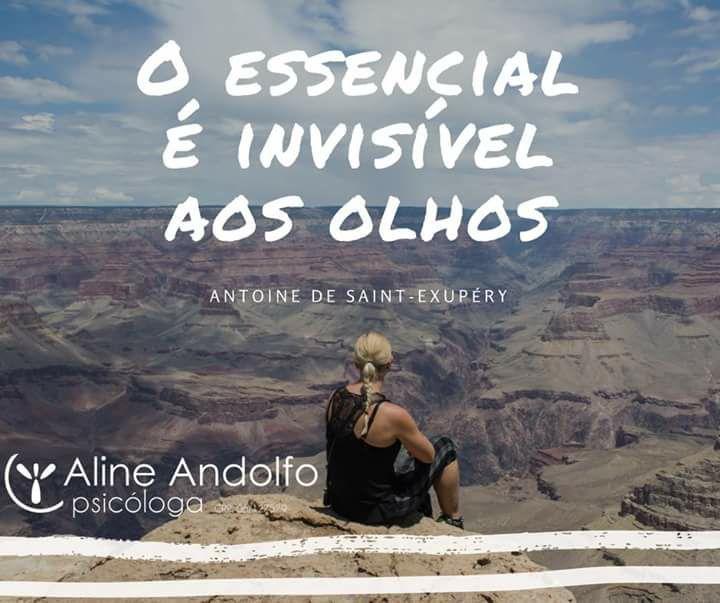 O Essencial e Invisível Aos Olhos Pequeno Príncipe